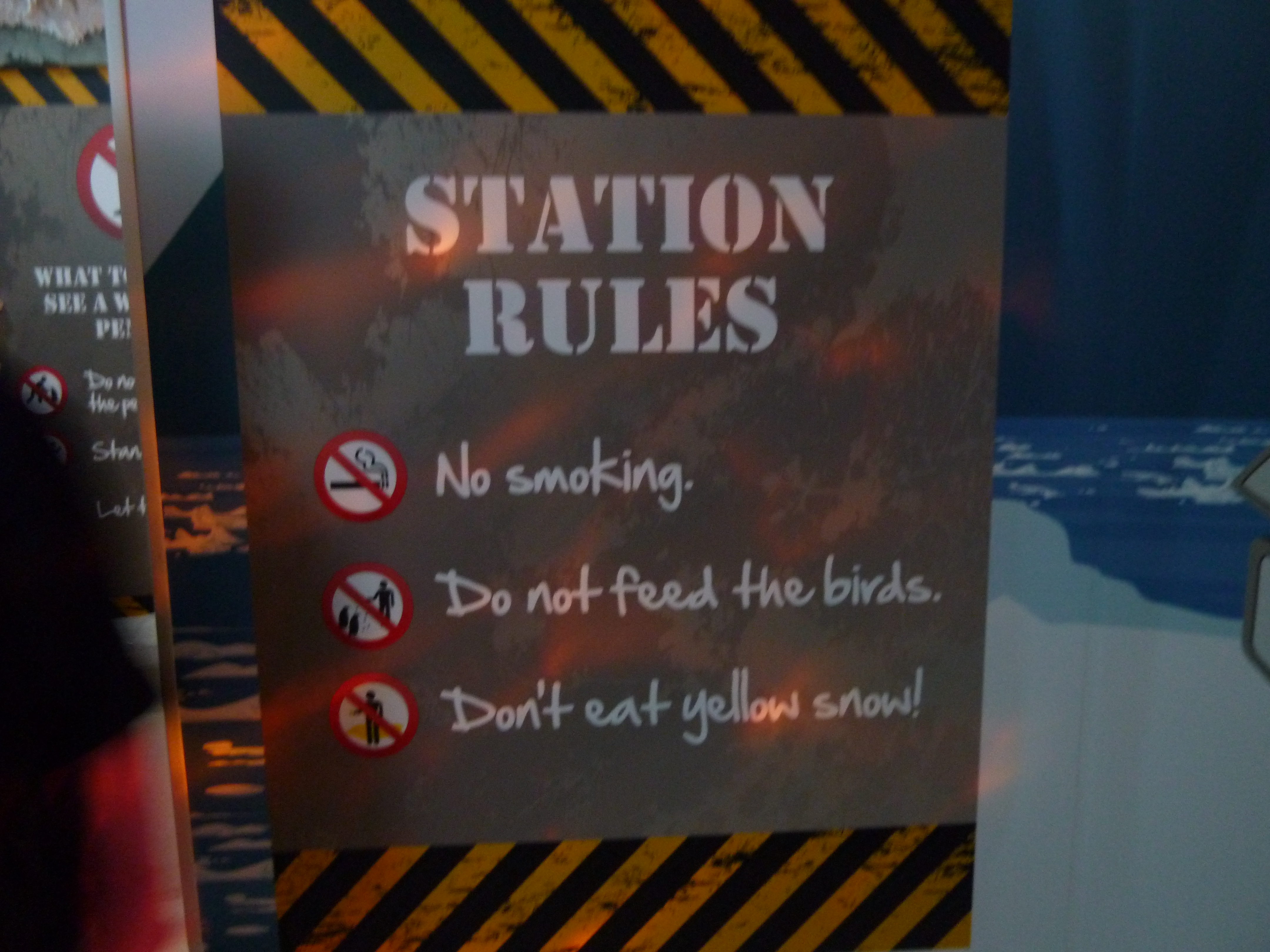 Nä så är det, ät inte gul snö. Reglerna gäller pingvinavdelningen på akvariet. Eller, egentligen, överallt.